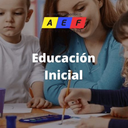 Curso Educación Inicial